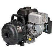 Pacer Pumps, Div. Of Asm Ind 2" 5.5Hp Transfer Pump SE2UL E950